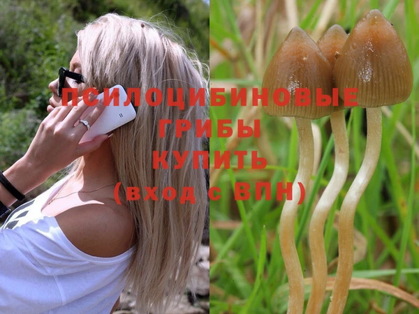 винт Алексин