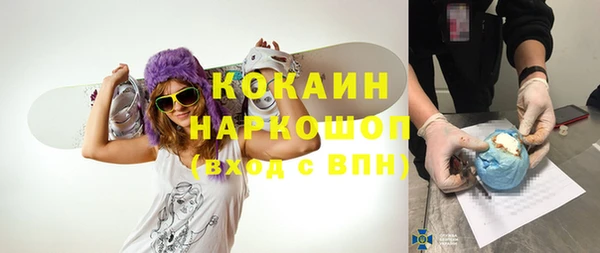 ешки Алзамай