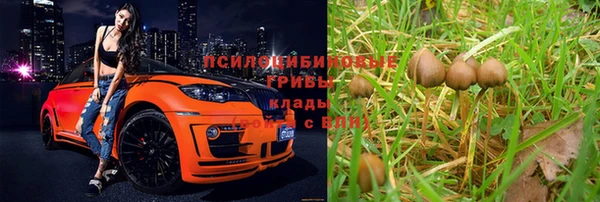 винт Алексин