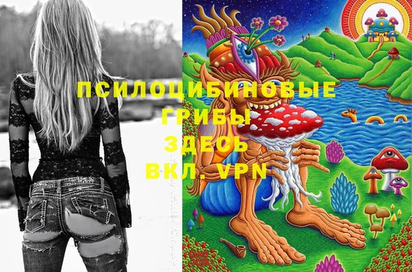 винт Алексин