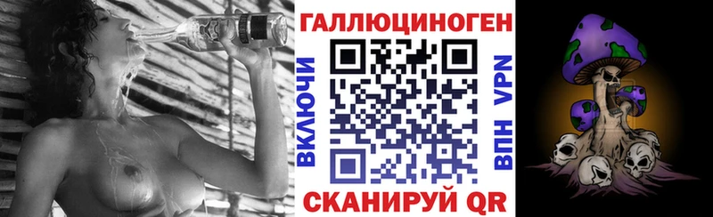 Псилоцибиновые грибы Psilocybe  сколько стоит  Грязовец 
